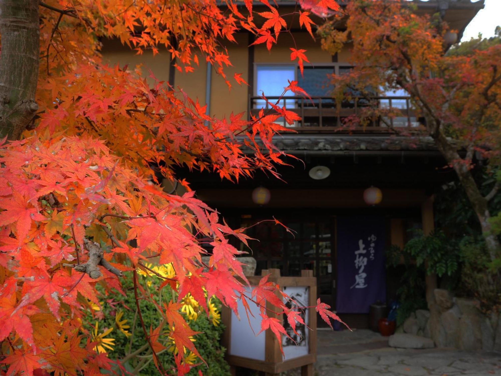 Yunohira Kamiyanagiya Hotel Yufu Eksteriør billede